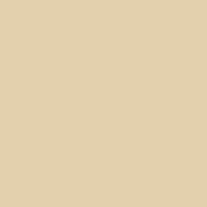 Cashmere Mix Round Neck Knit in Browns, Camel & Ochre