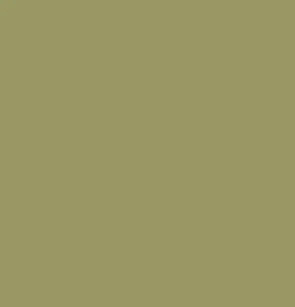 Cashmere Mix Round Neck Knit in Shades of Green