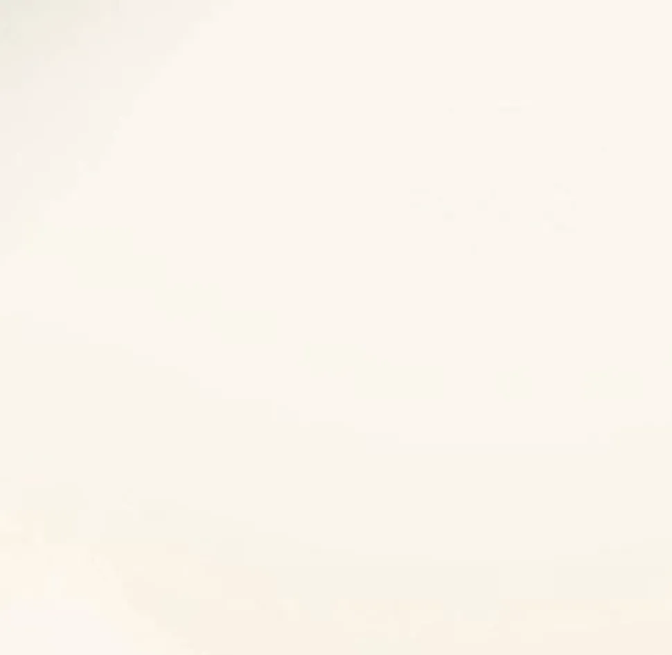 cashmere_mix_v_neck_knit__7-5.webp Cashmere Mix V Neck Knit in Neutrals